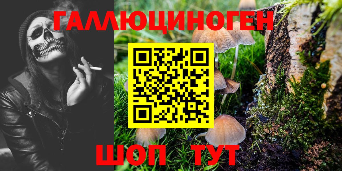Галлюциногенные грибы мицелий Кохма