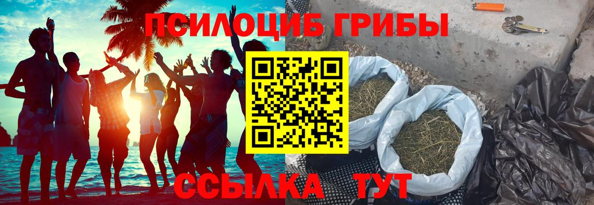Кохма  Галлюциногенные грибы прущие грибы  Галлюциногенные грибы прущие грибы  Вход с VPN 