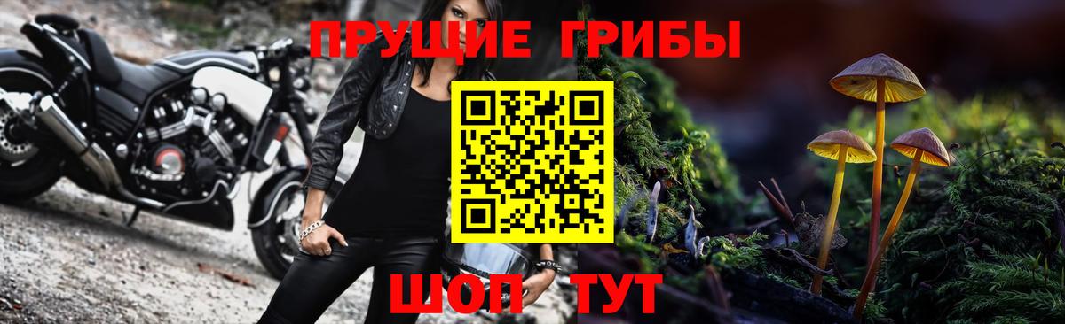 A PVP Кохма